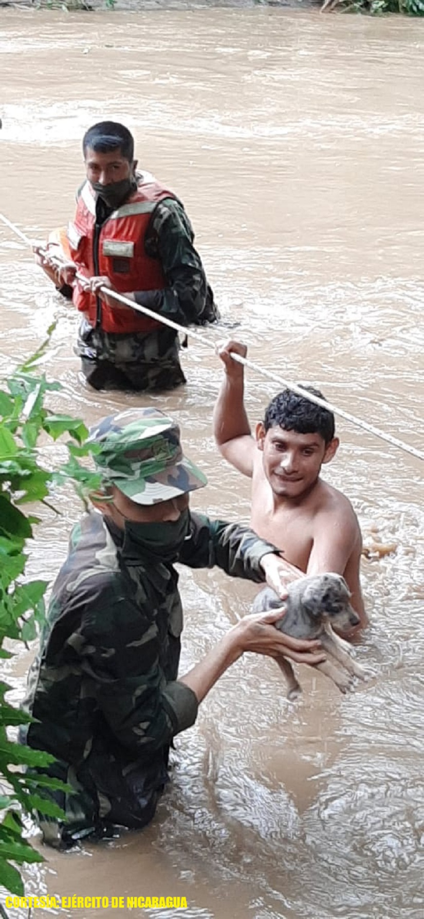 EJERCITO